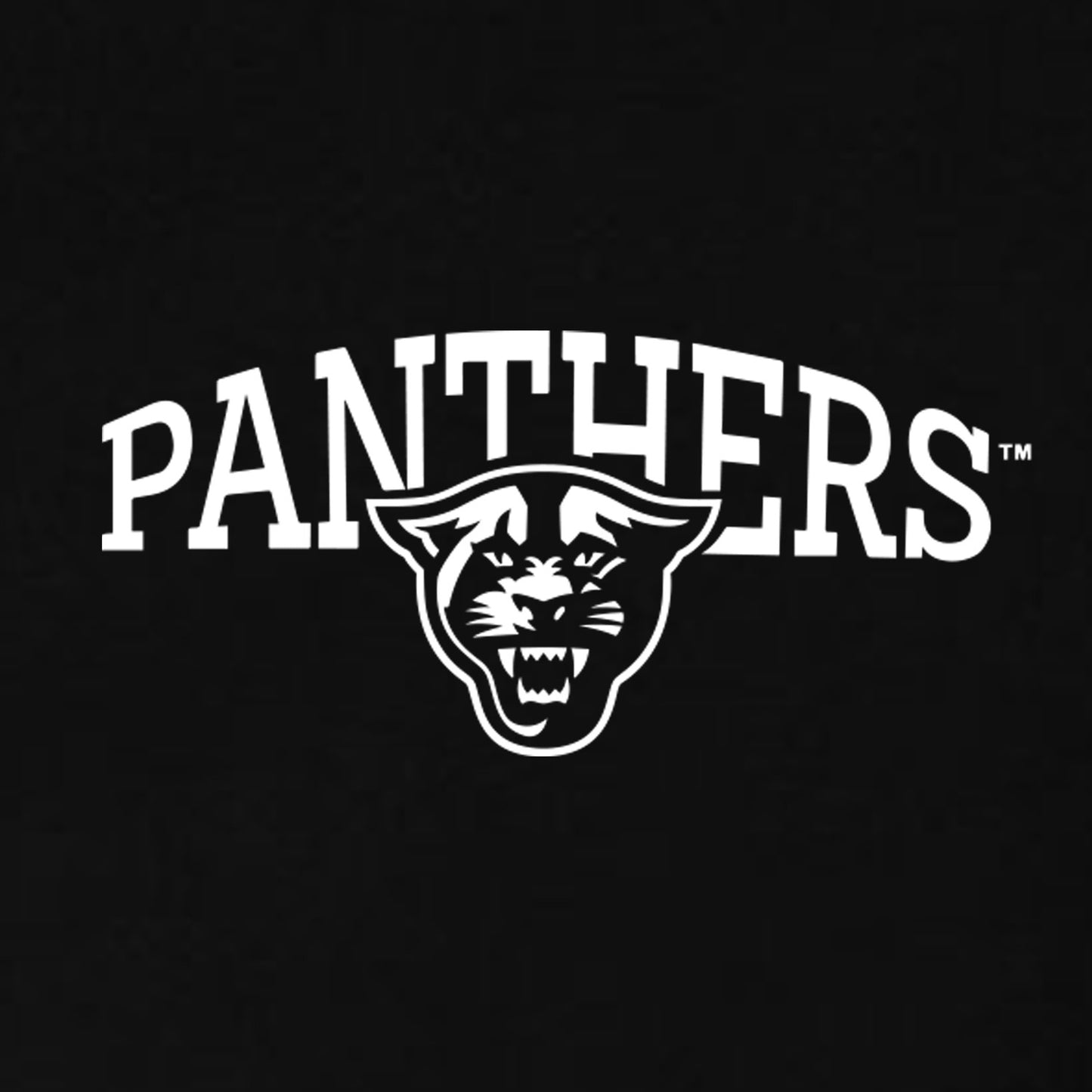 Panthers Women's Micro Rib Long Sleeve Baby Tee-Black