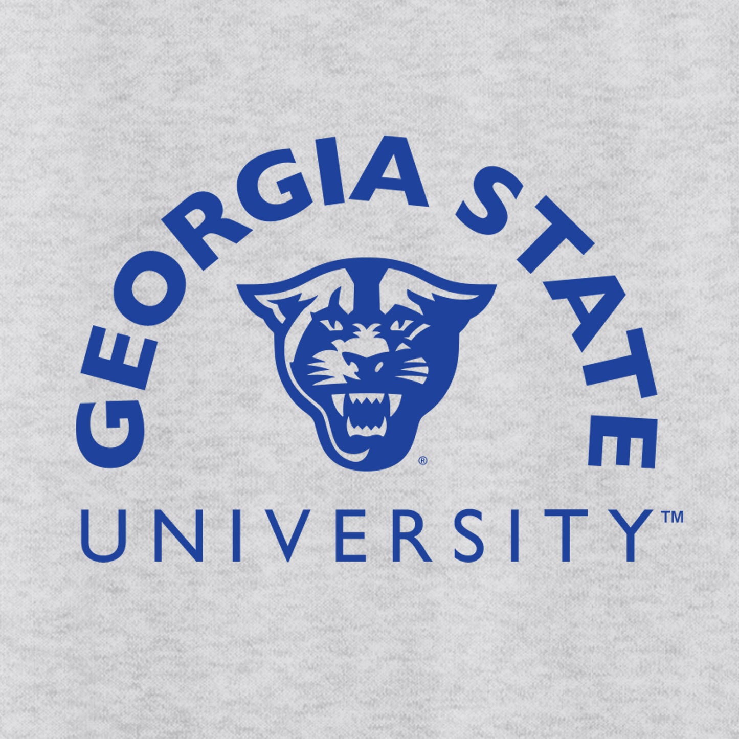 Georgia State Panthers 50 Cotton/50 Poly T-Shirt-Ash