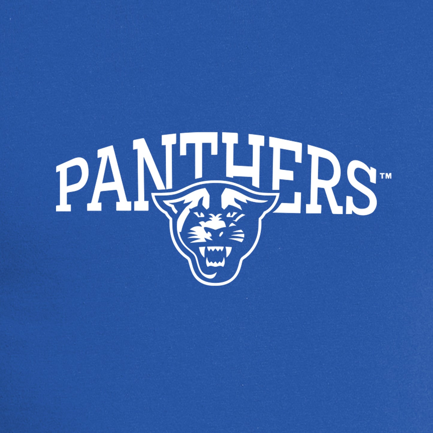 Panthers Nike Dri-FIT Cotton/Poly Long Sleeve Tee- Rush Blue