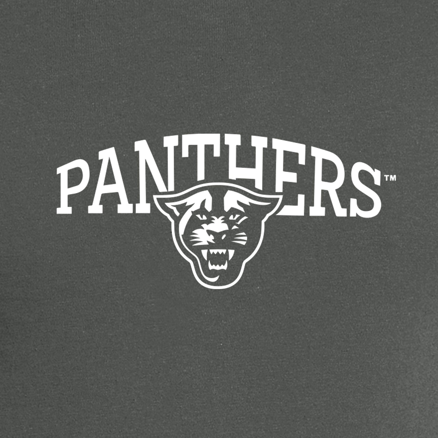 Panthers Nike Dri-FIT Cotton/Poly Long Sleeve Tee- Anthracite