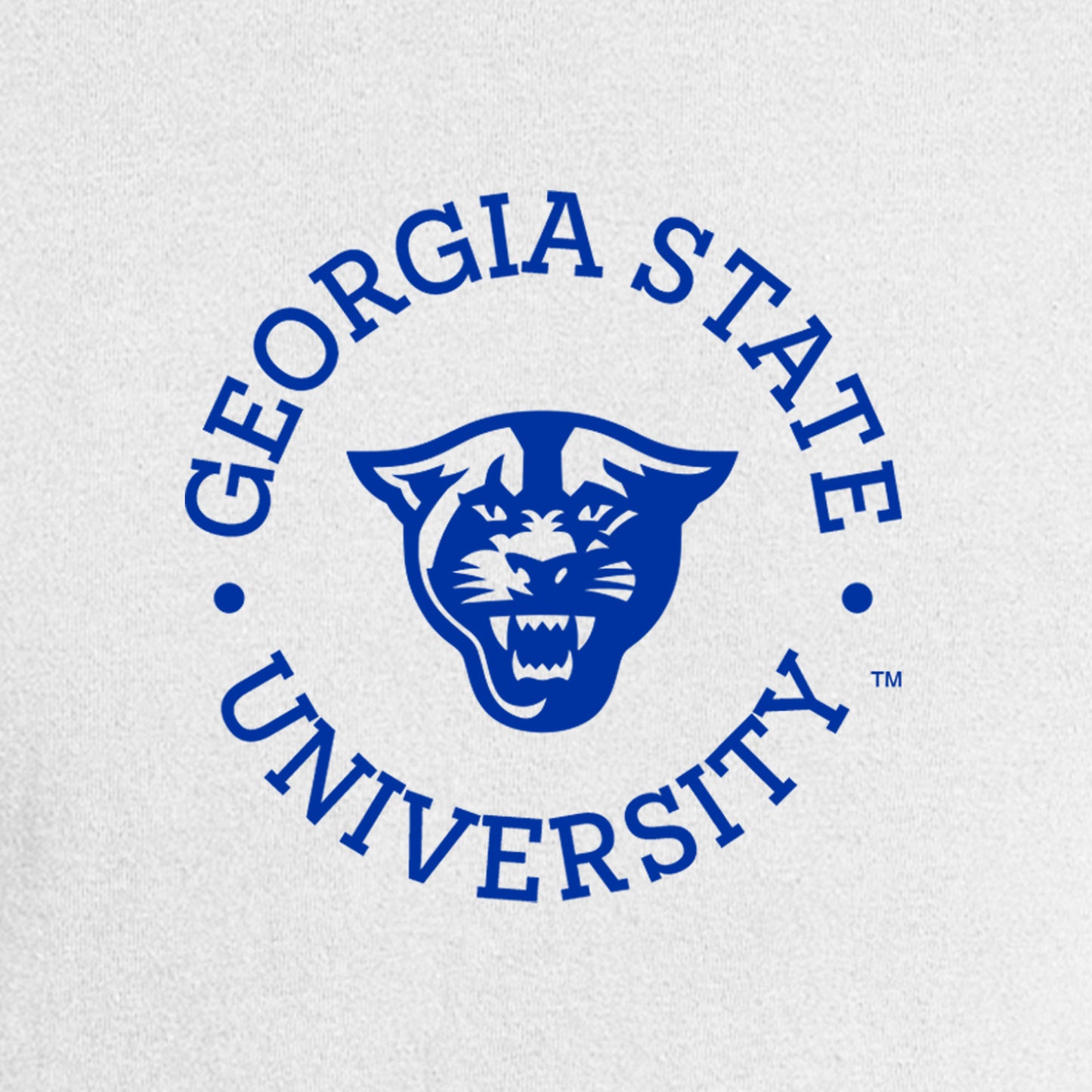 Georgia State Nike Dri-FIT Cotton/Poly Tee- White