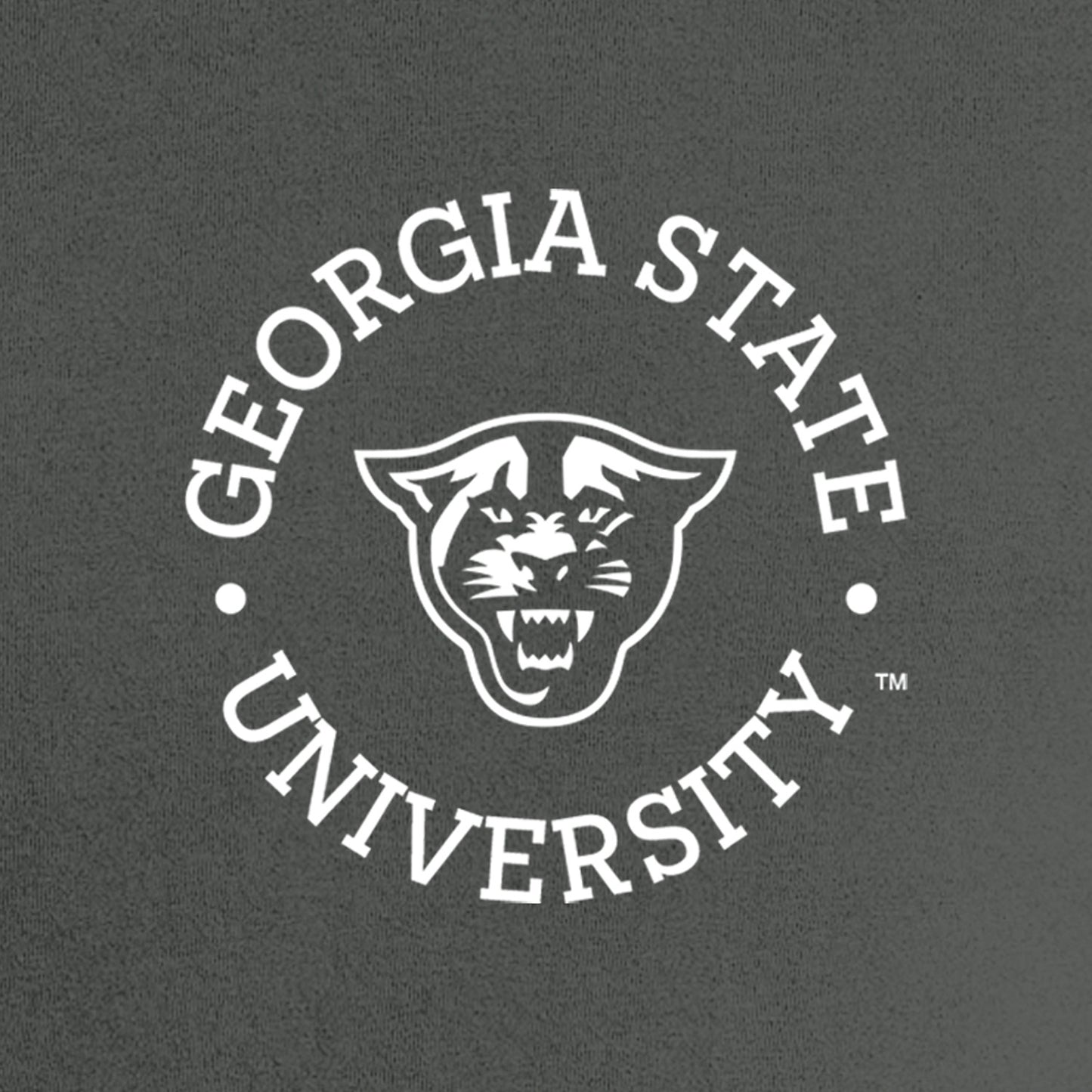 Georgia State Nike Dri-FIT Cotton/Poly Tee- Anthracite