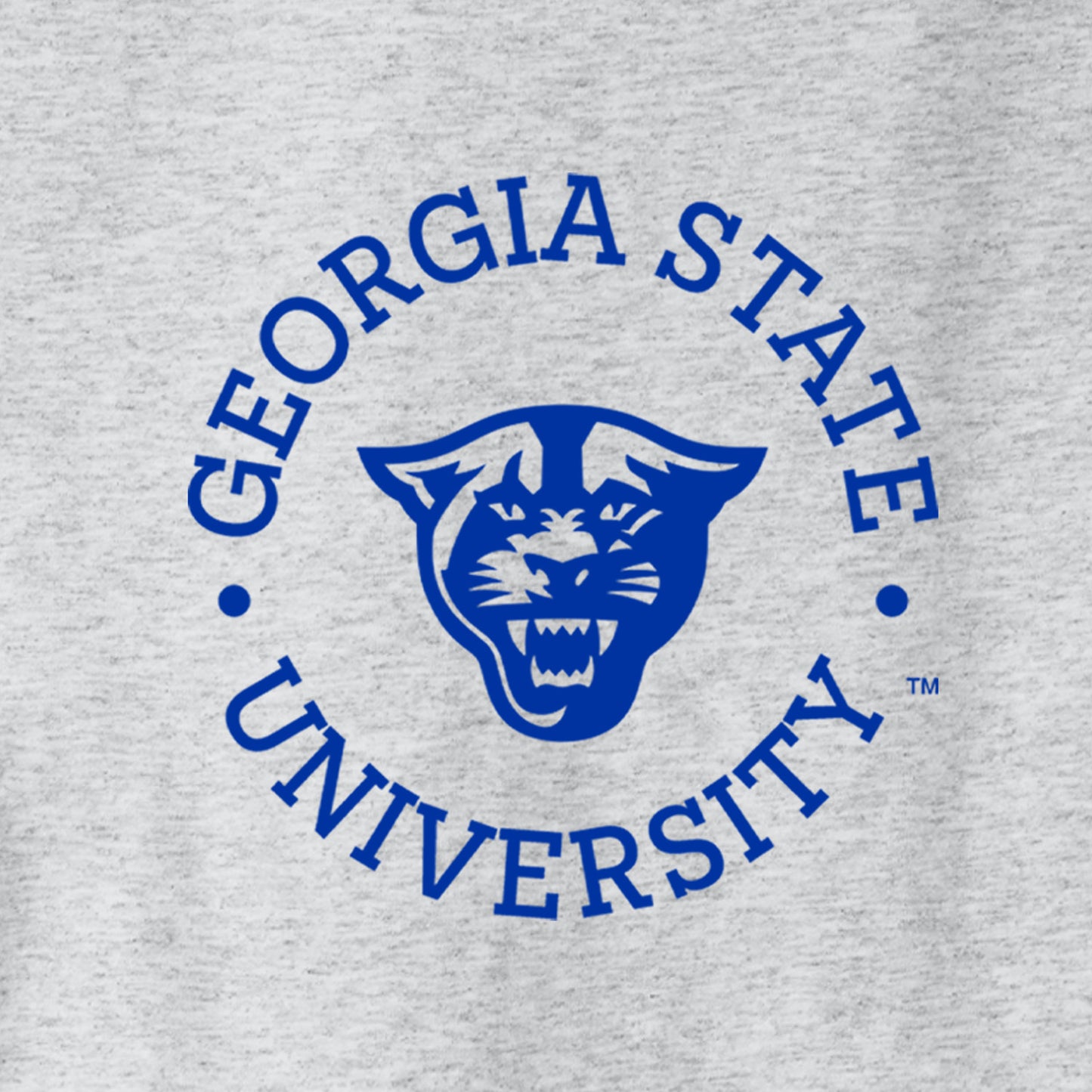 Georgia State University, Panthers, Champion Jersey Tee- Ash