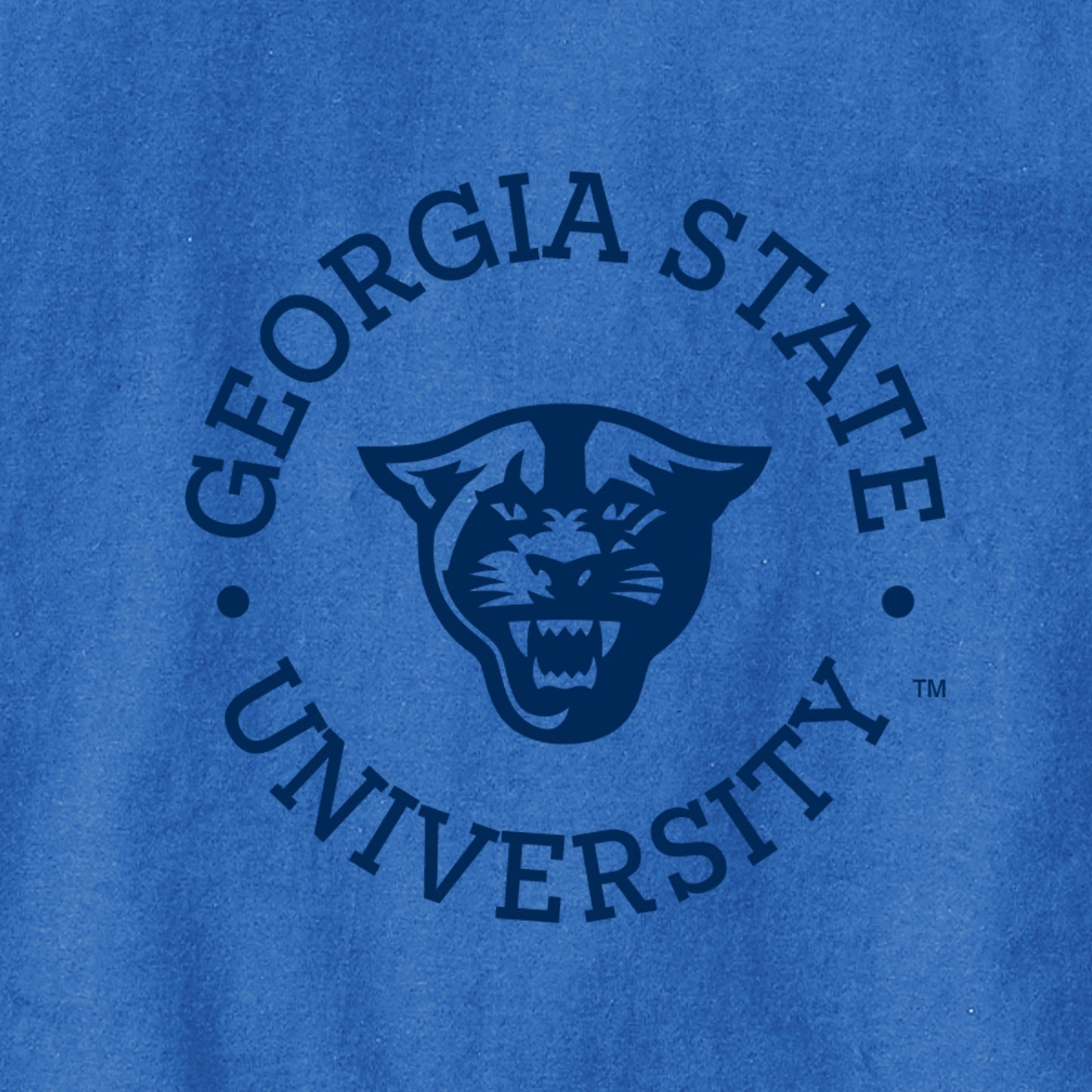 Georgia State University, Panthers, Champion Jersey Tee- Royal