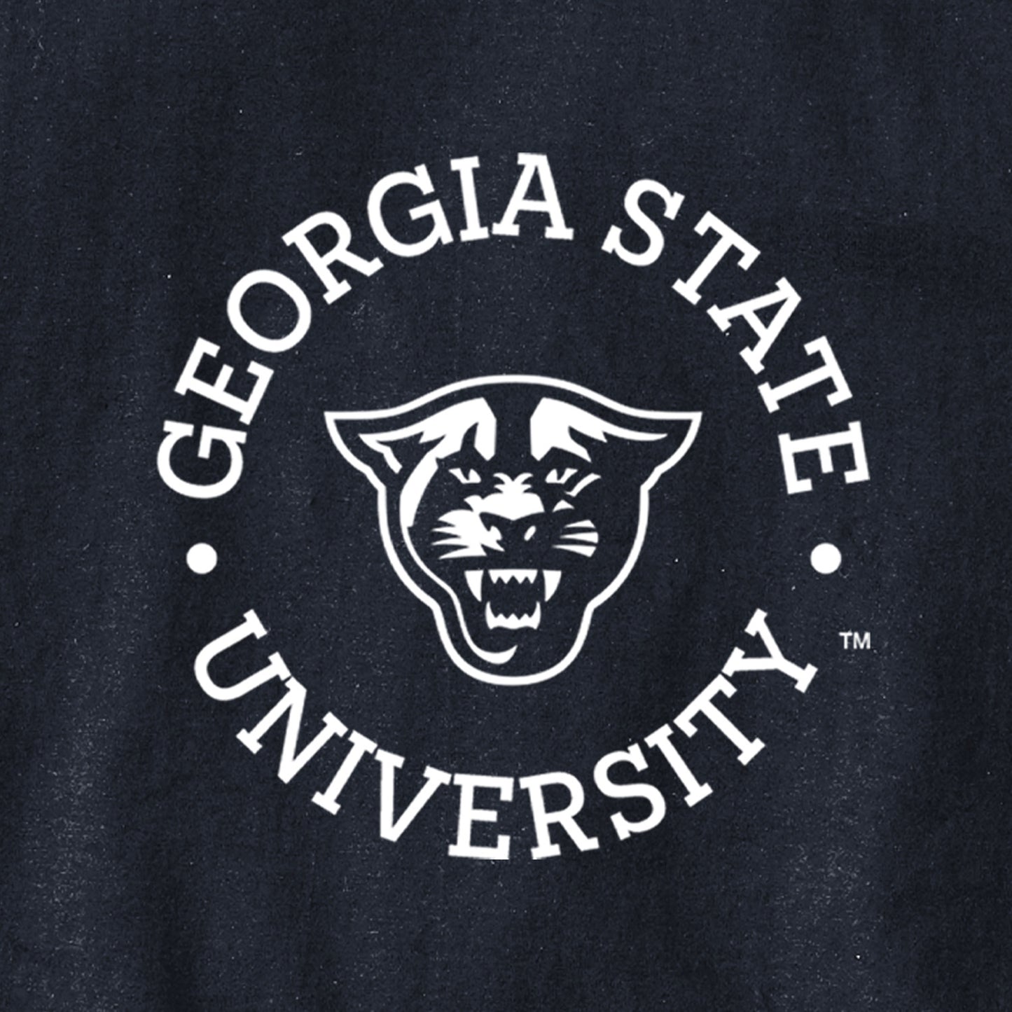Georgia State University, Panthers, Champion Jersey Tee- Navy