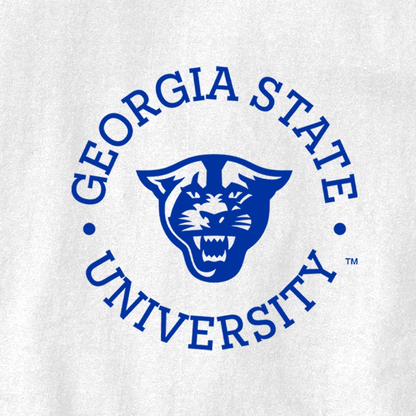 Georgia State University, Panthers, Champion Jersey Tee- White