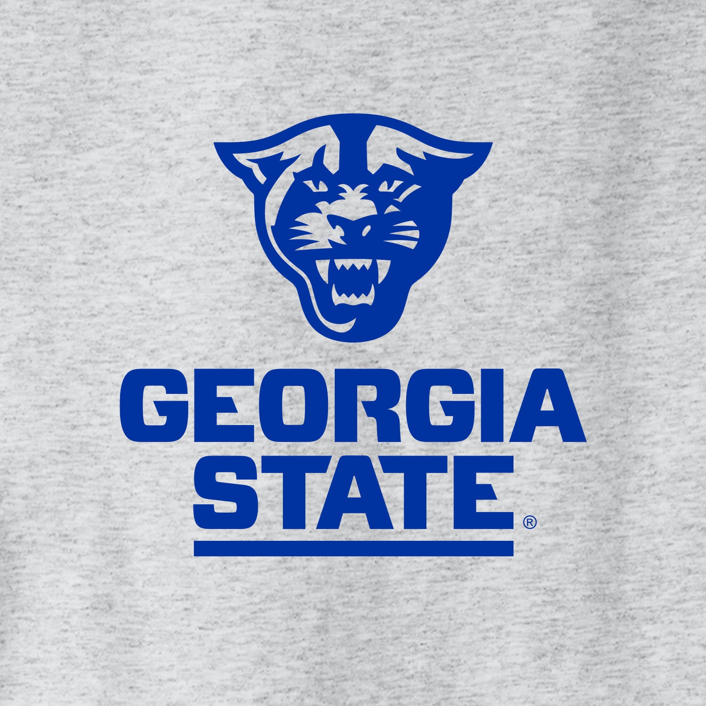 Georgia State Champion Jersey Tee-Ash
