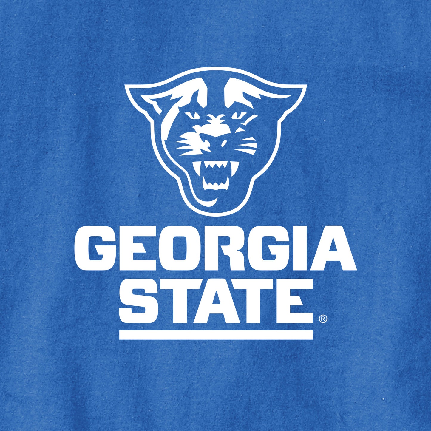 Georgia State Champion Jersey Tee-Royal