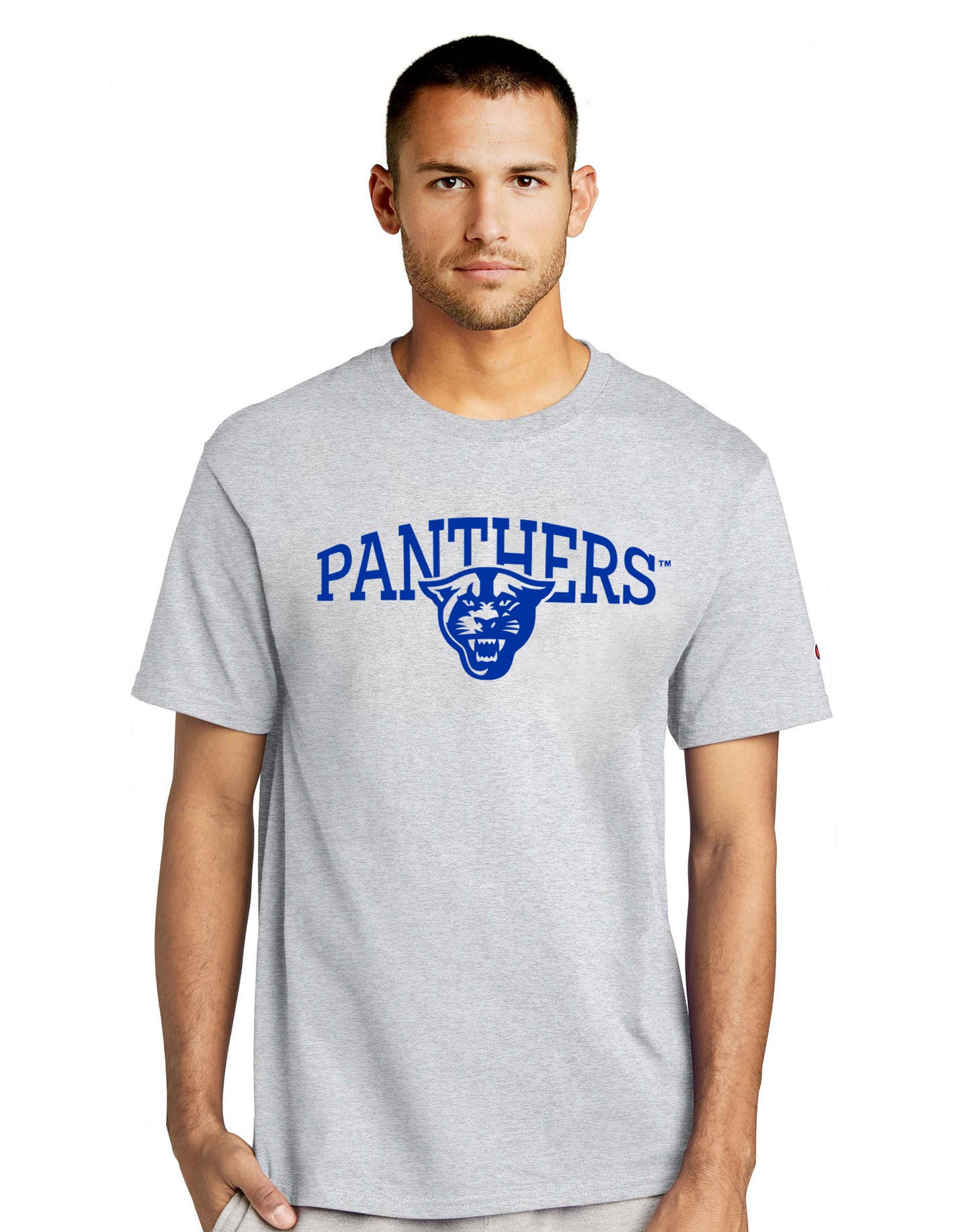 Panthers Champion Jersey Tee-Ash
