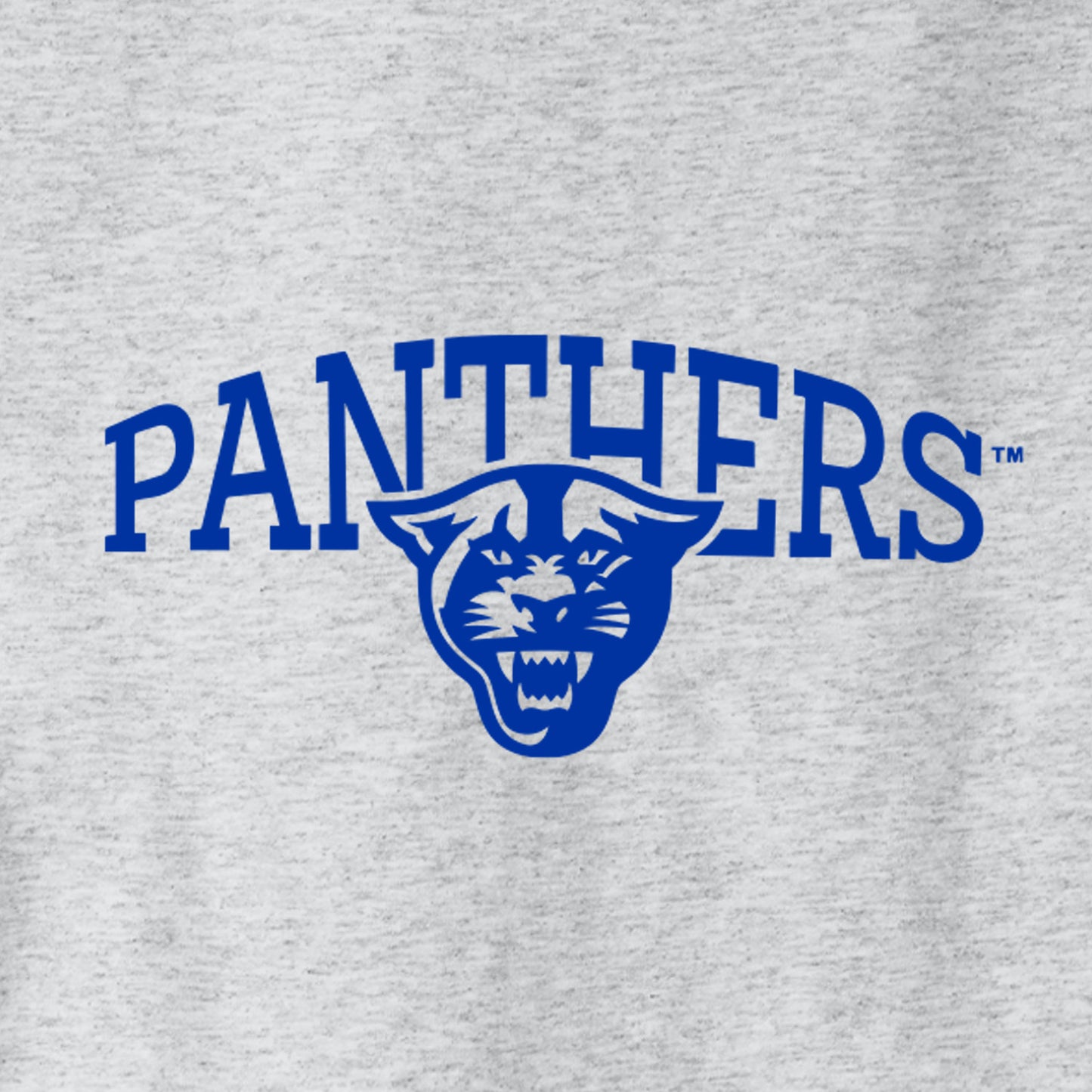 Panthers Champion Jersey Tee-Ash