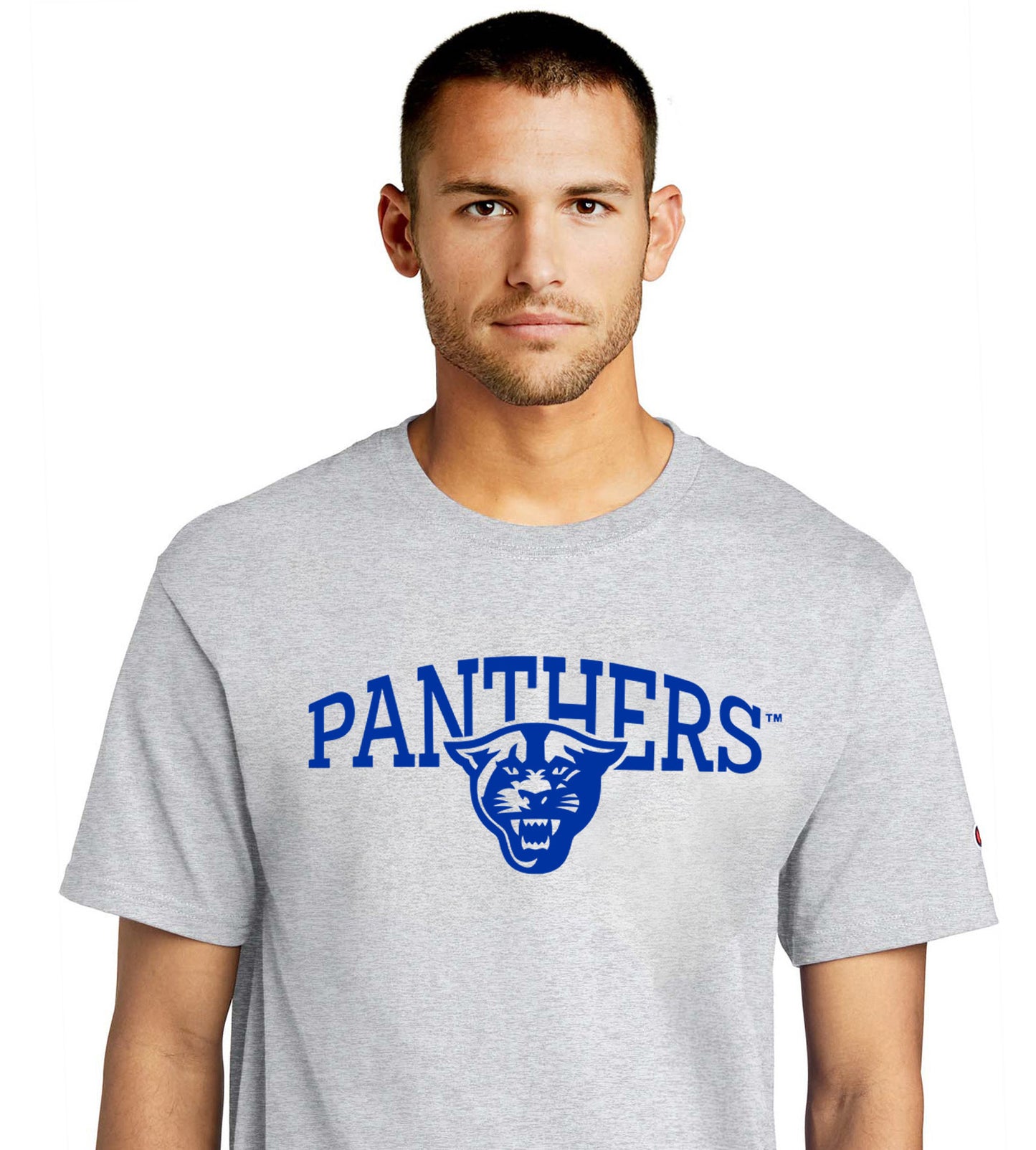 Panthers Champion Jersey Tee-Ash