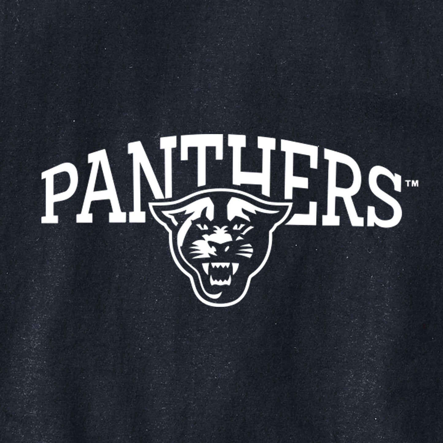 Panthers Champion Jersey Tee-Navy