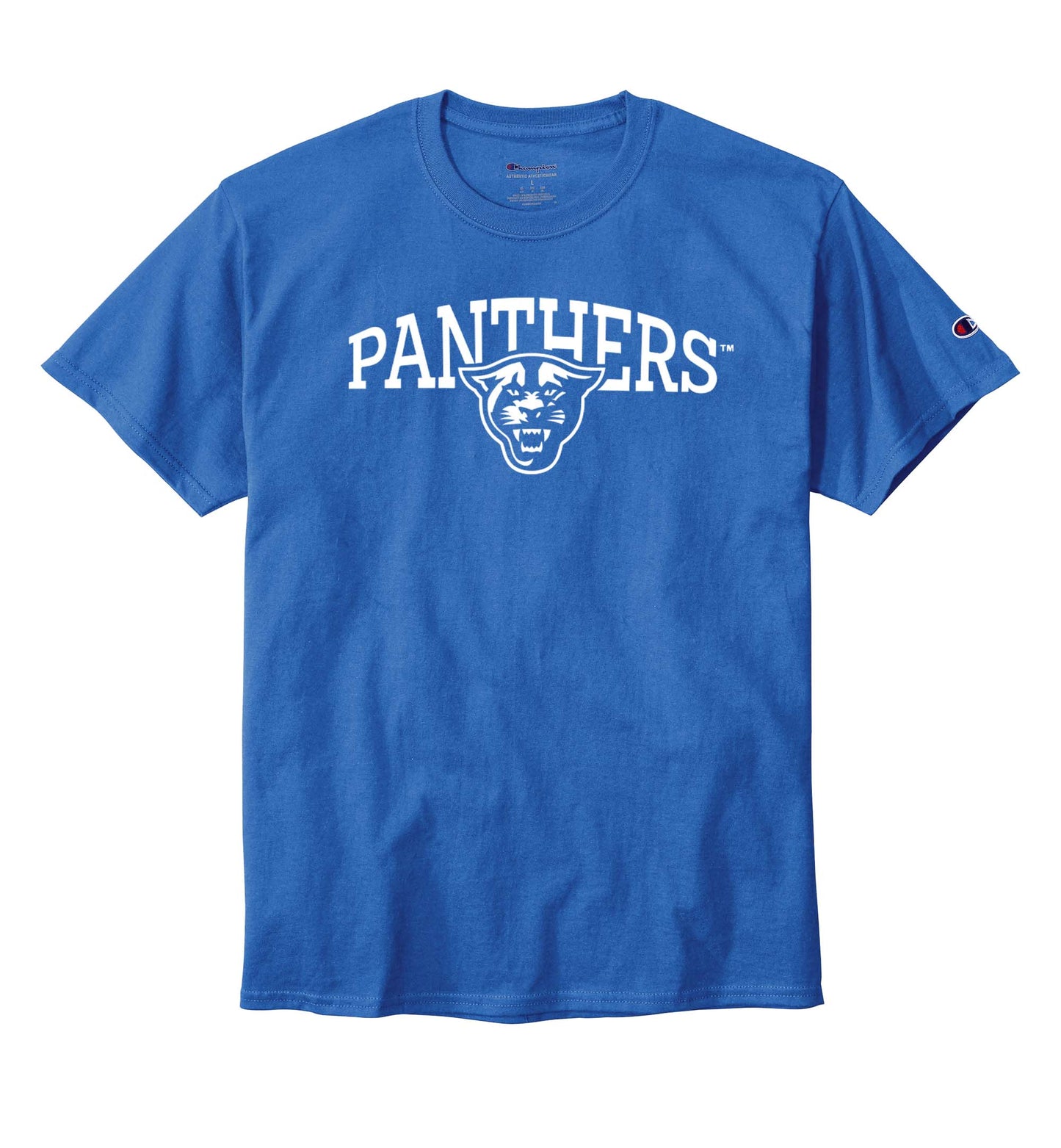 Panthers Champion Jersey Tee-Royal