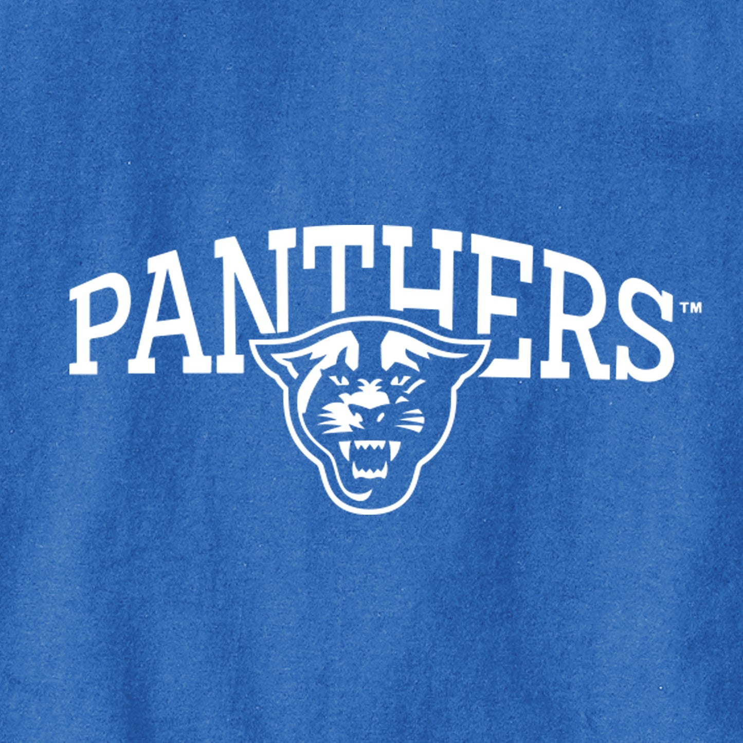 Panthers Champion Jersey Tee-Royal
