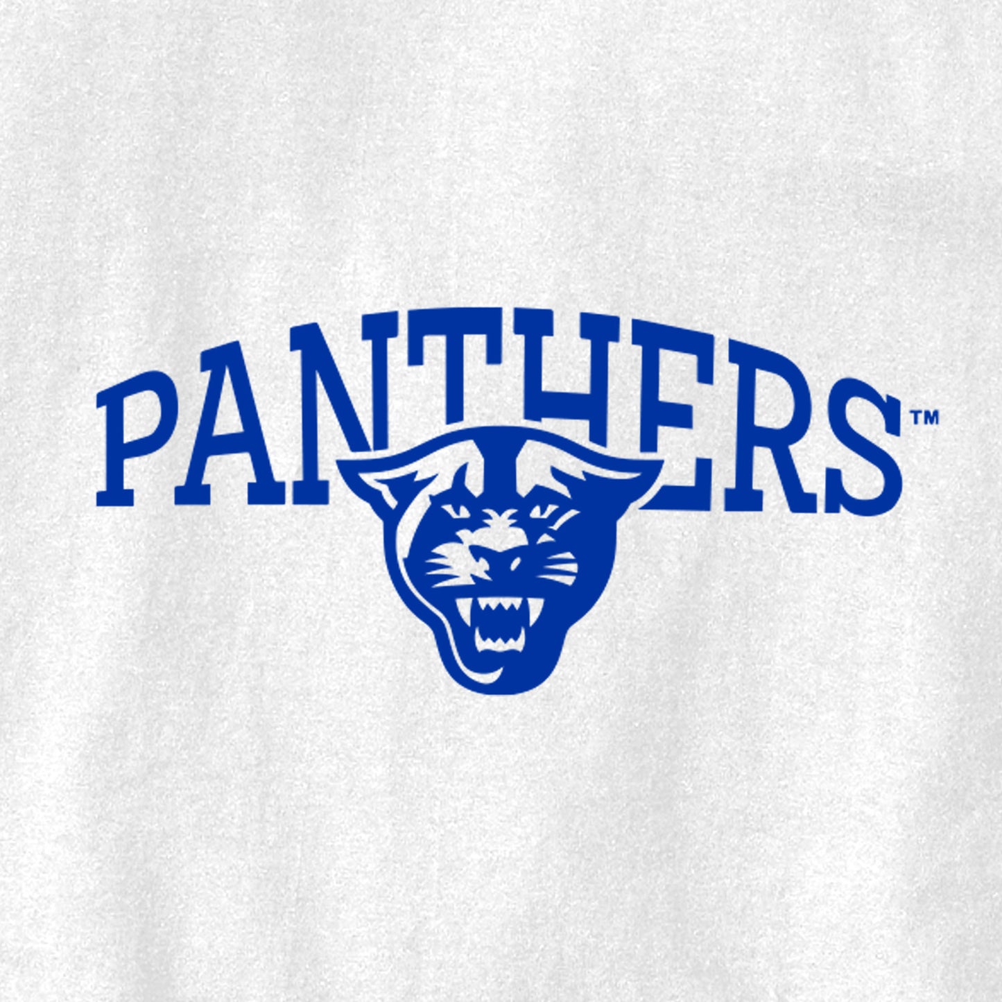 Panthers Champion Jersey Tee-White