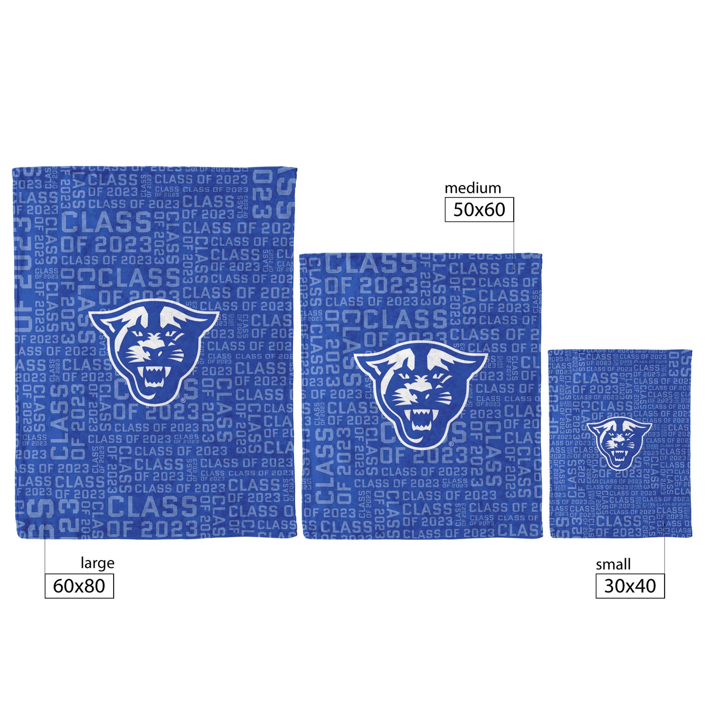 Panthers, Class Of 2023, Fleece Blanket